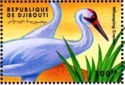 Whooping Crane (Grus americana)